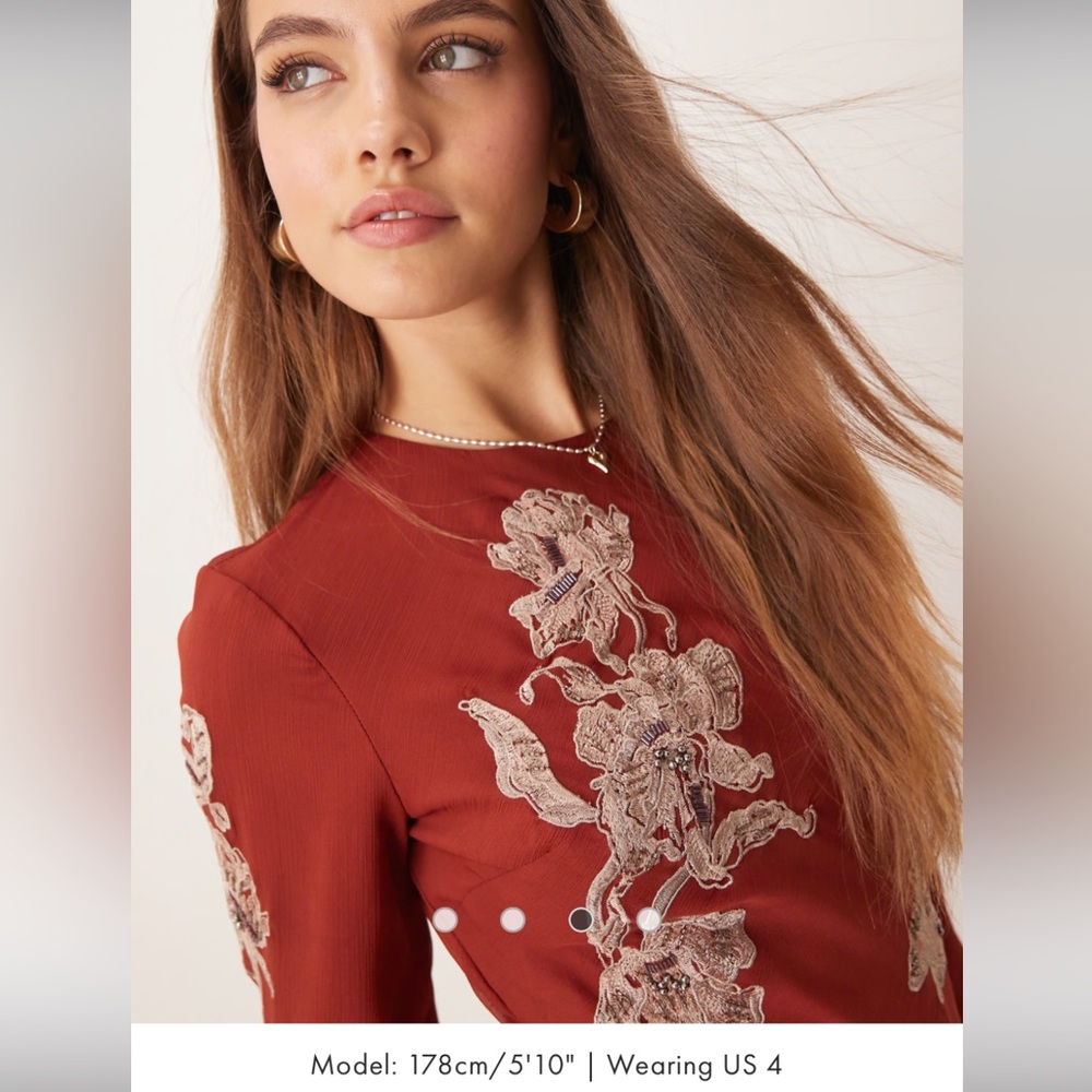ASOS Ruffle Embellished Dresss - Picture 4 of 5